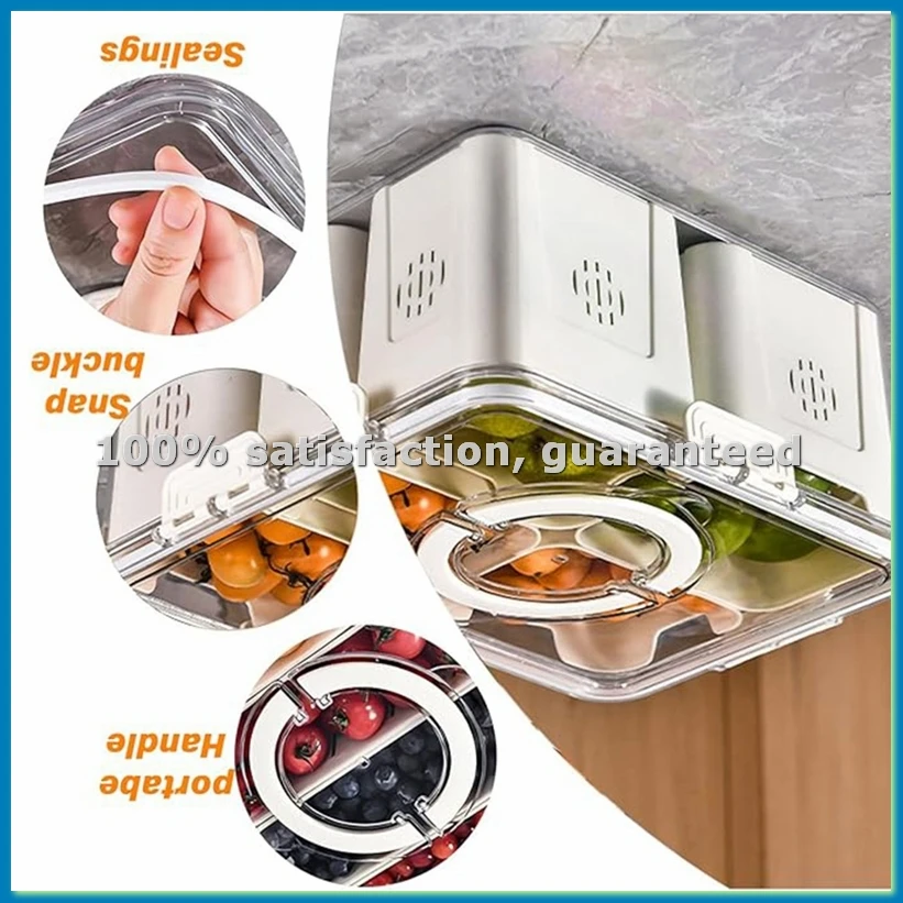 Food Snacks Box - Obstschale für große Picknicks, Kühlschrank-Lebensmittelaufbewahrung, transparente