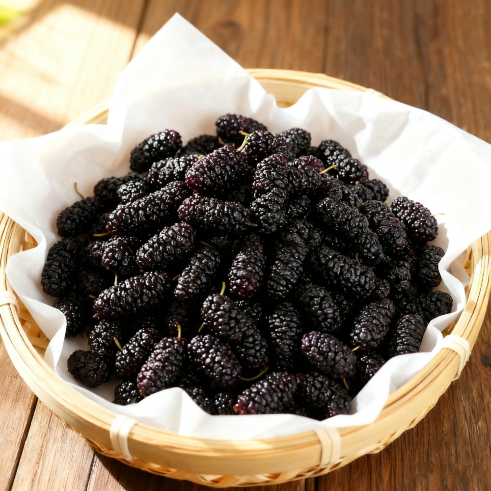 Reine natürliche getrocknete M – Dried Fruit Mix Bewertung und Preis